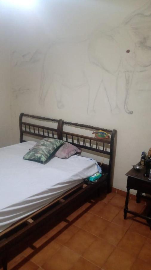 Hostel Elephant Del Mar Гуаружа Екстер'єр фото